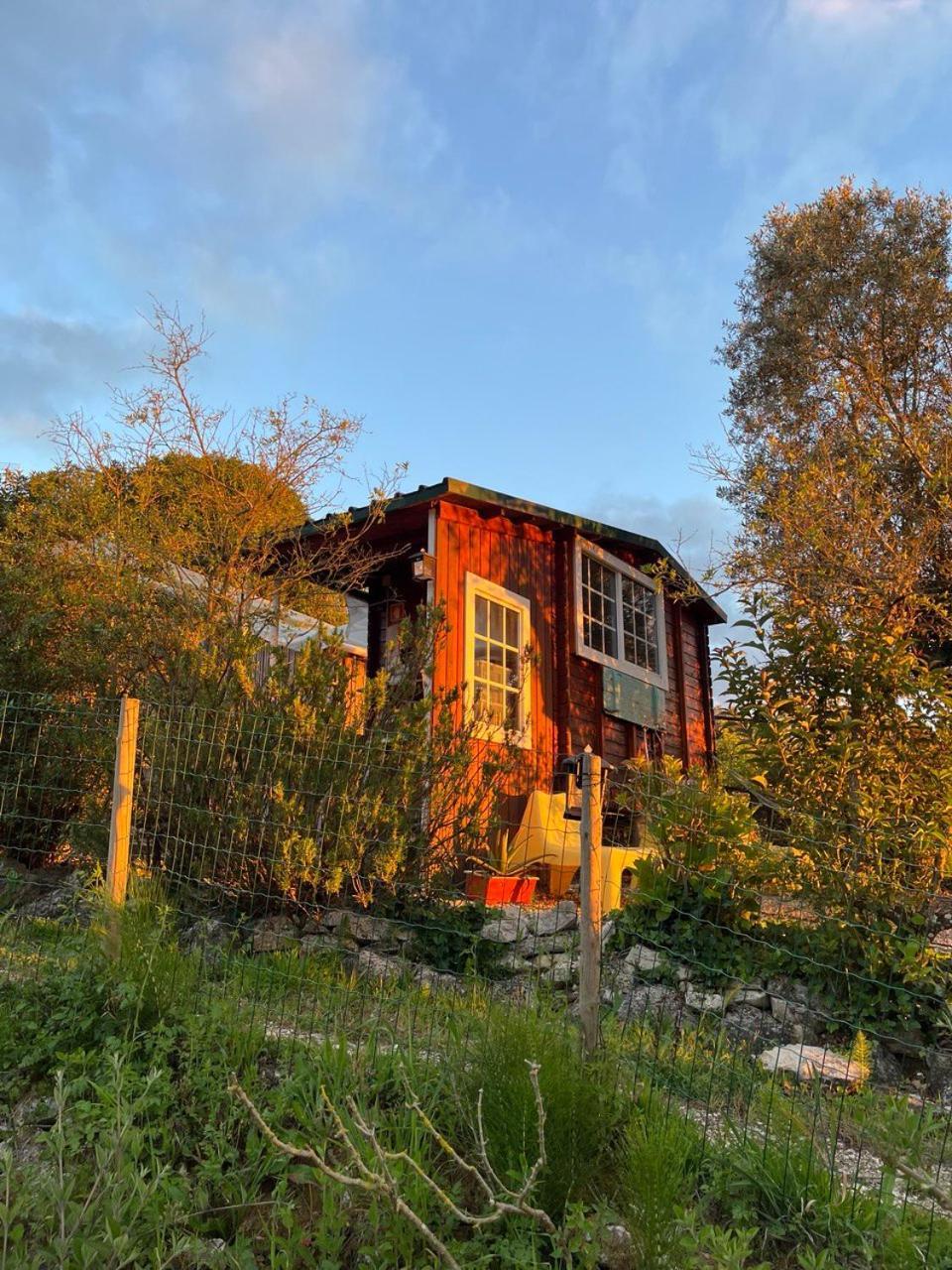 Quinta Laranja - Turismo Rural - Alvorninha 외부 사진