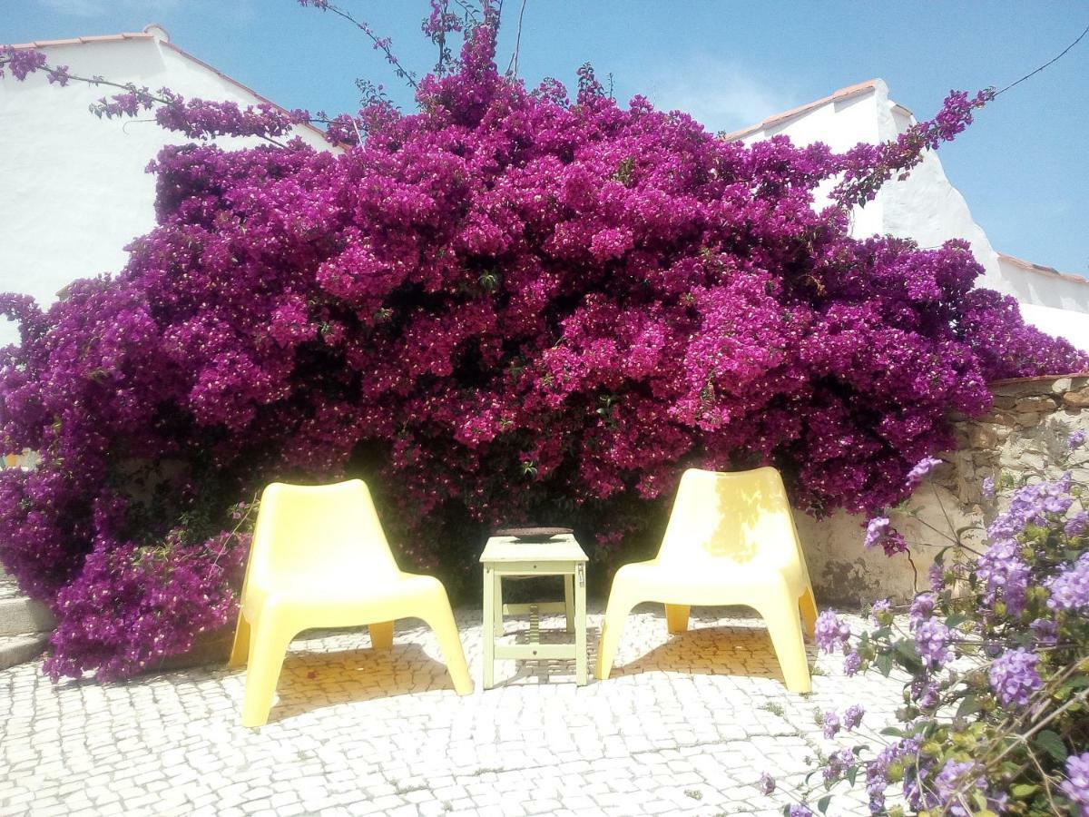 Quinta Laranja - Turismo Rural - Alvorninha 외부 사진